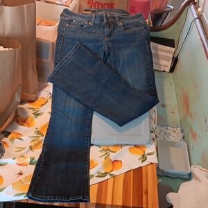 American Eagle Outfitters Dark Blue Boot Cut Jeans